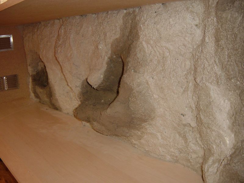 ese terrario 003.jpg