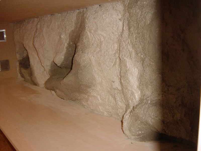 ese terrario 004.jpg