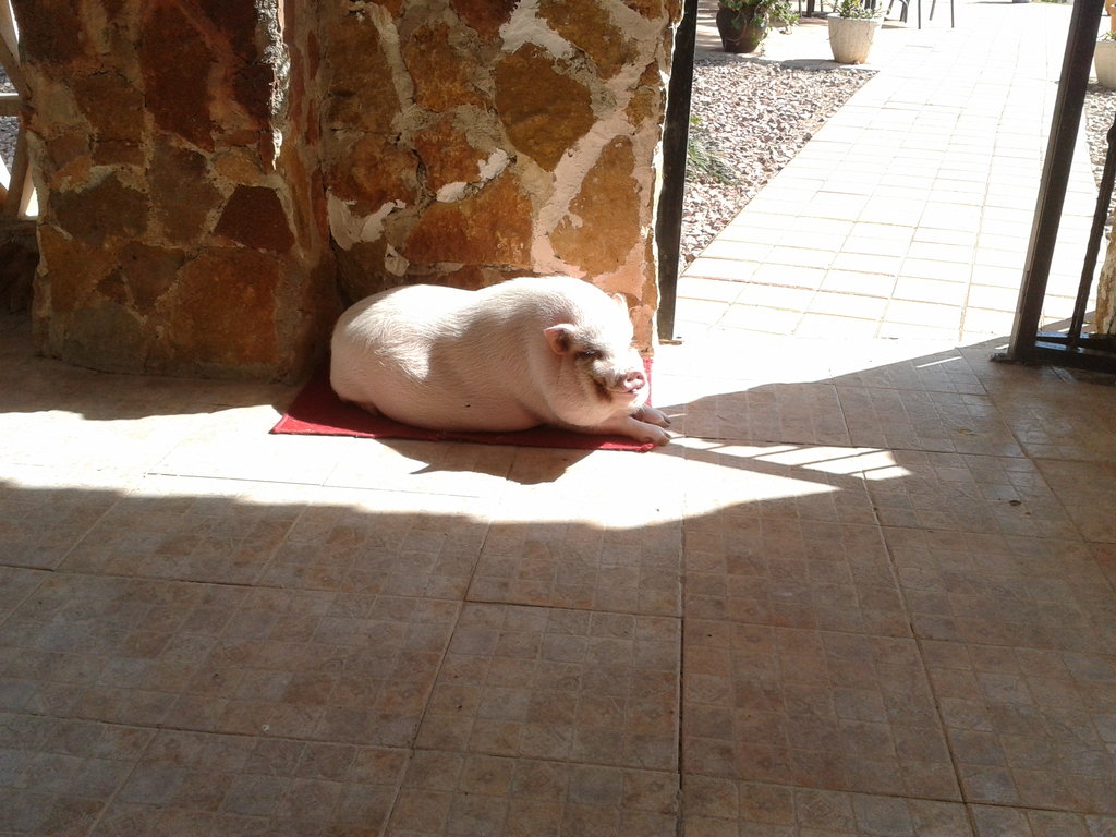 Ésta es ella ahora con 2 añitos