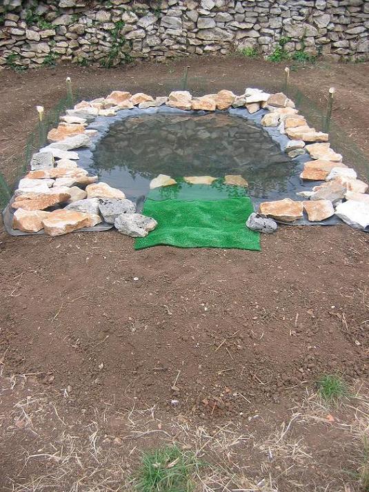 estanke frontal redu bien..JPG