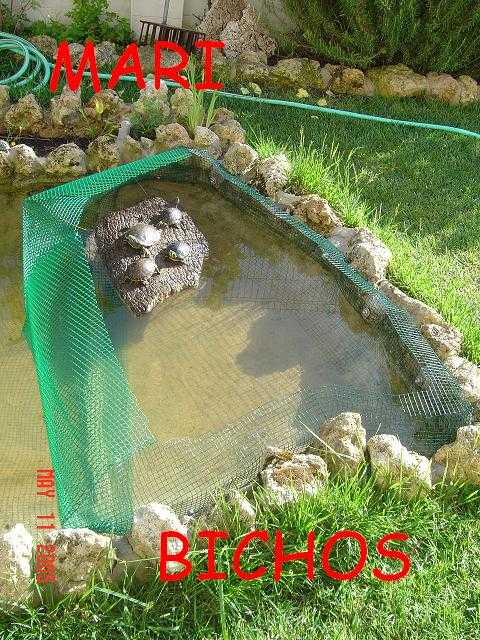 estanque reforma 005.jpg