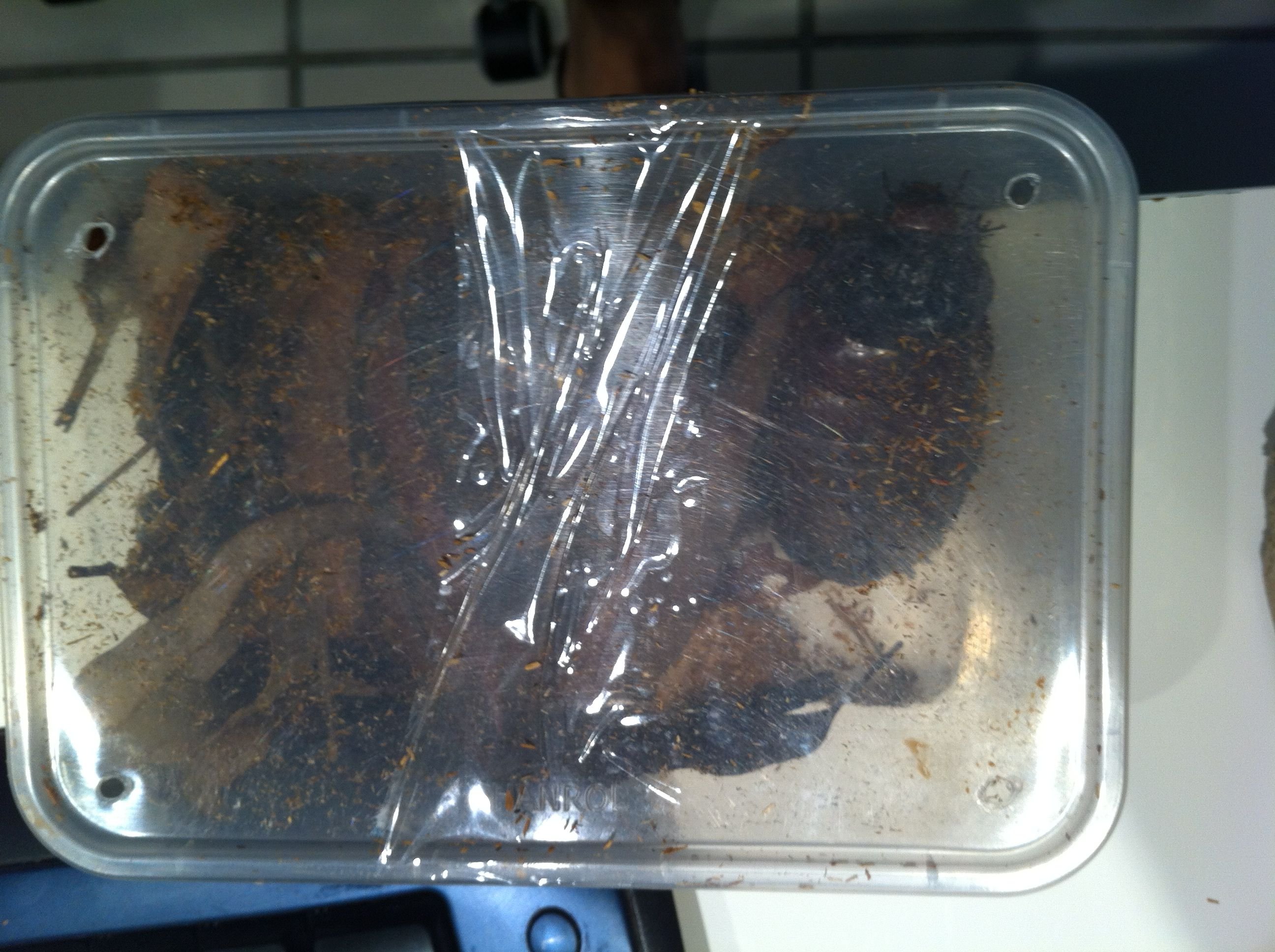 Foto 08-05-12 13 10 14.jpg