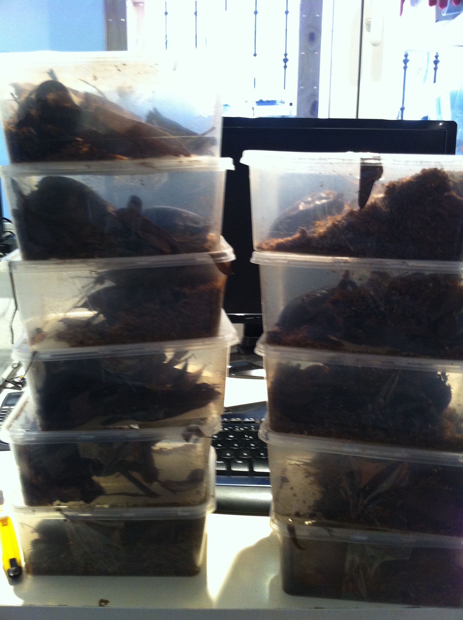 Foto 08-05-12 13 12 34.jpg