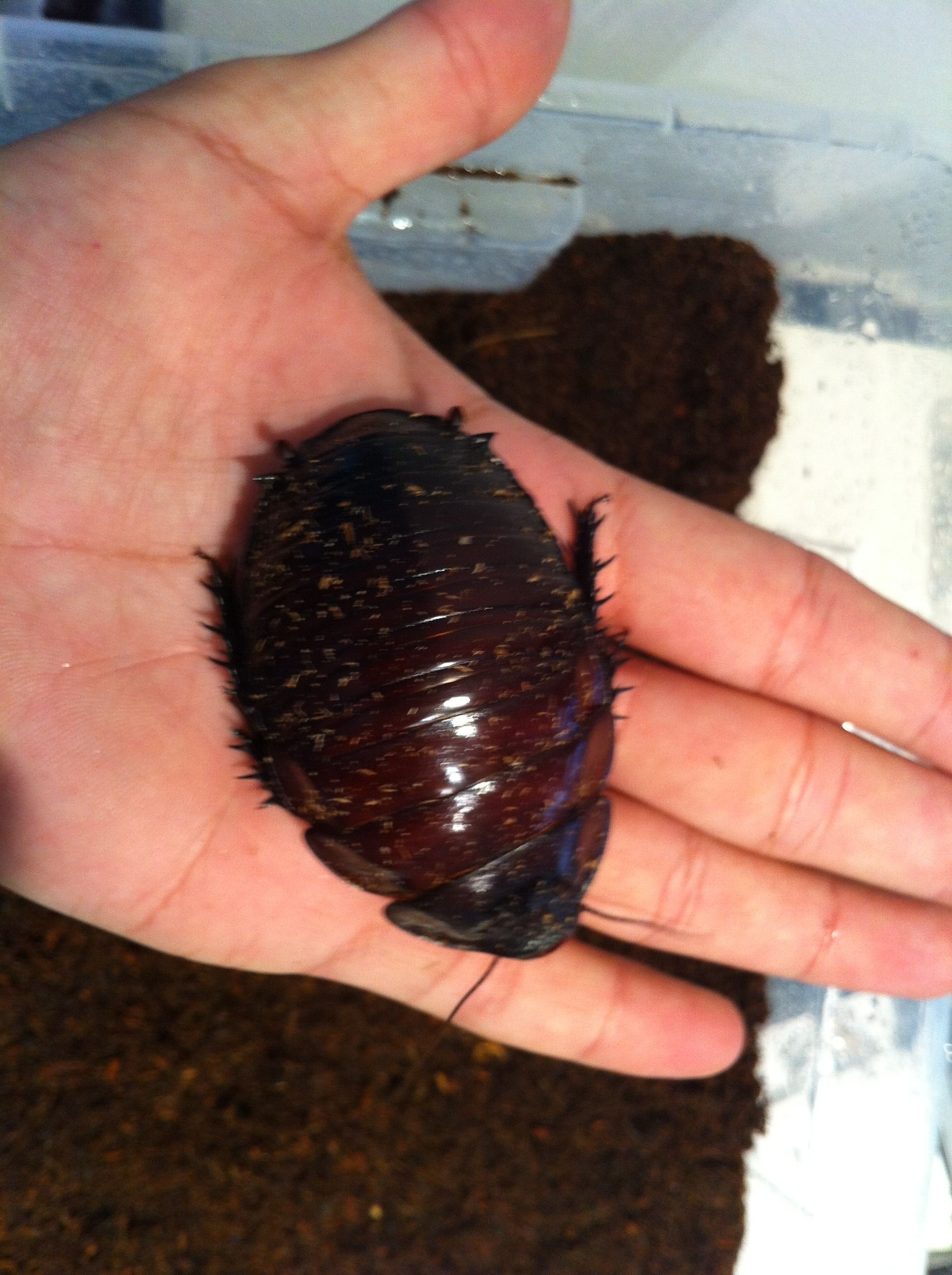 Foto 08-05-12 13 17 01.jpg