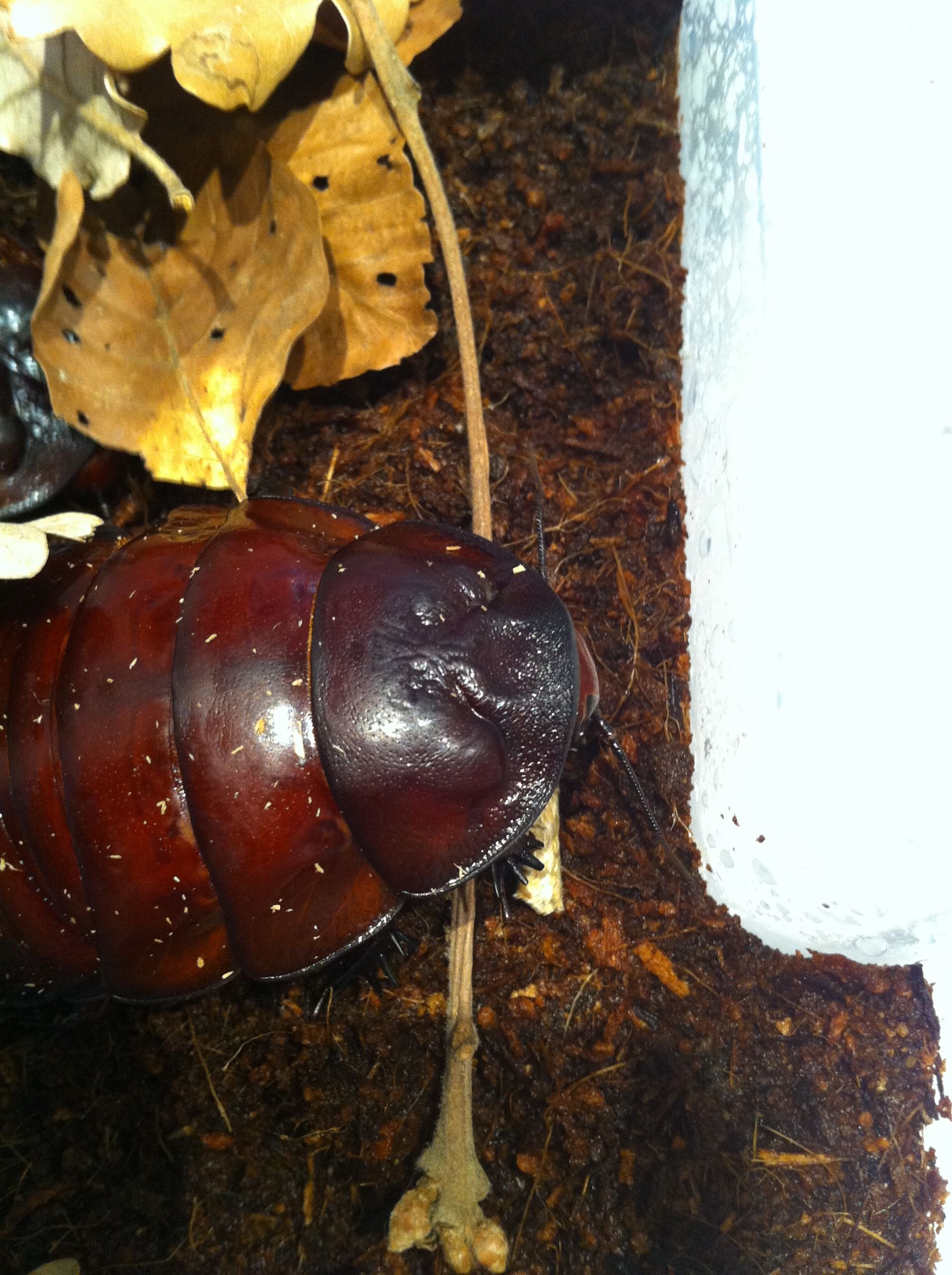 Foto 08-05-12 13 19 35.jpg