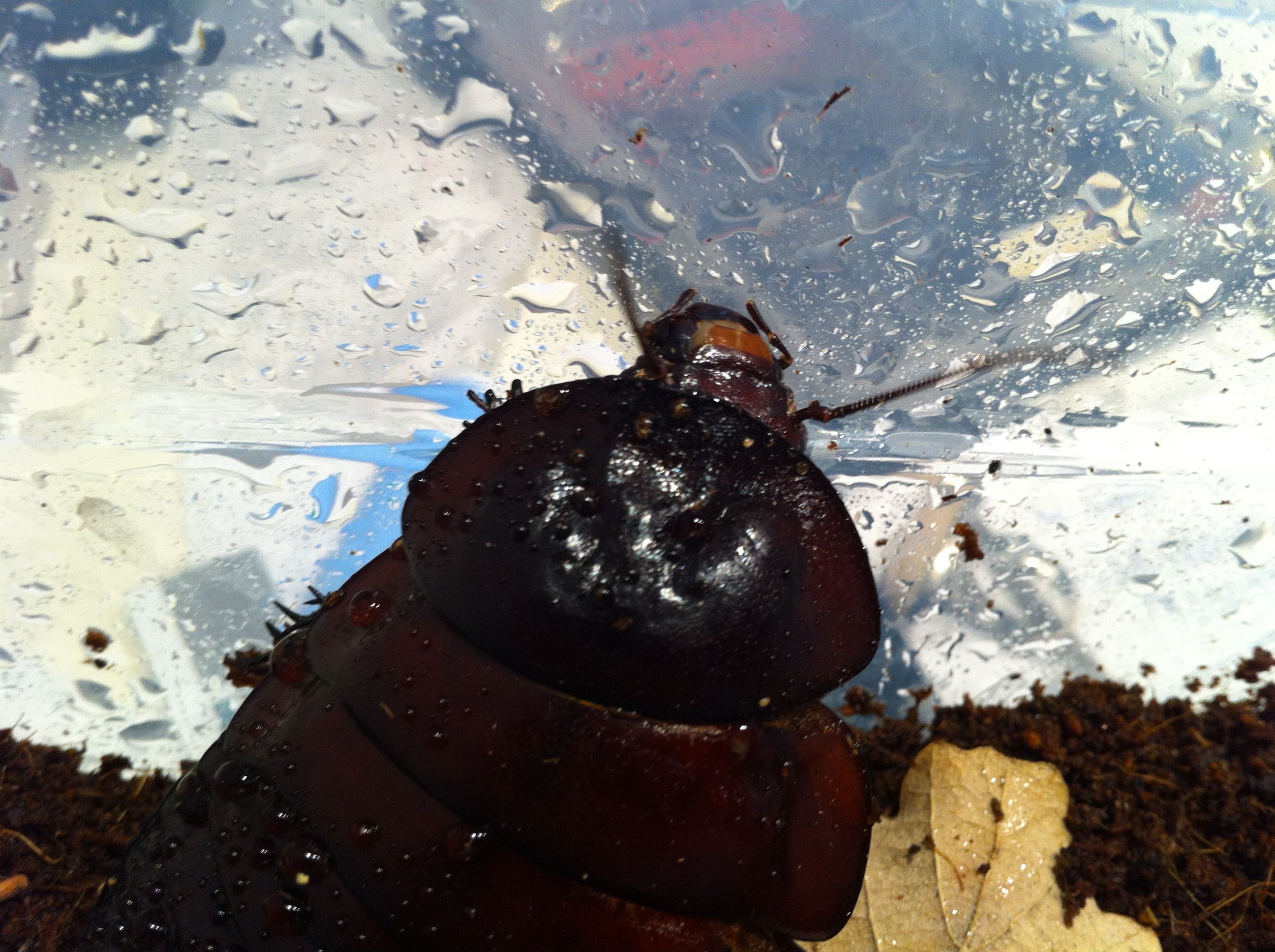 Foto 08-05-12 13 28 41.jpg