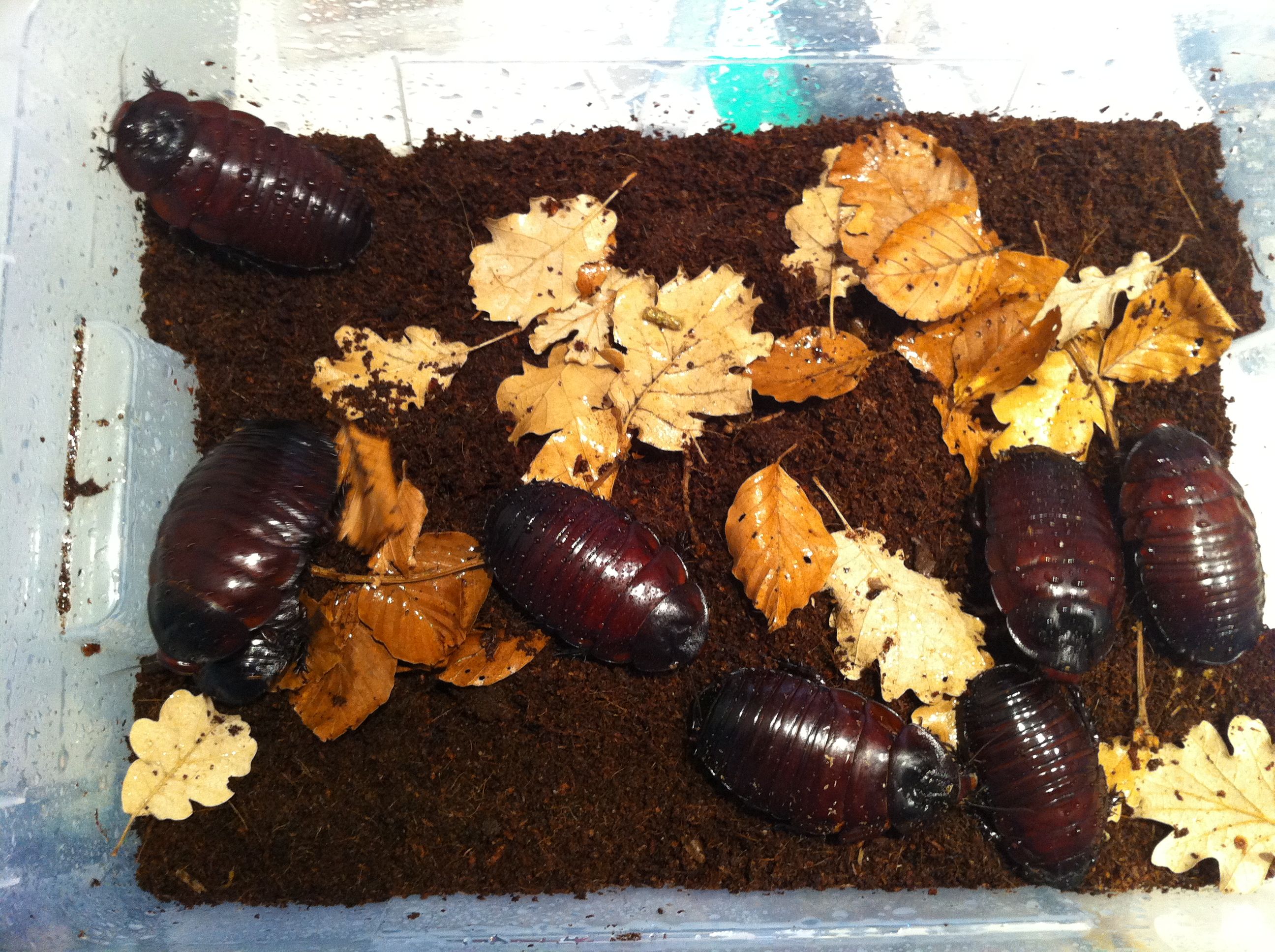 Foto 08-05-12 13 30 26.jpg