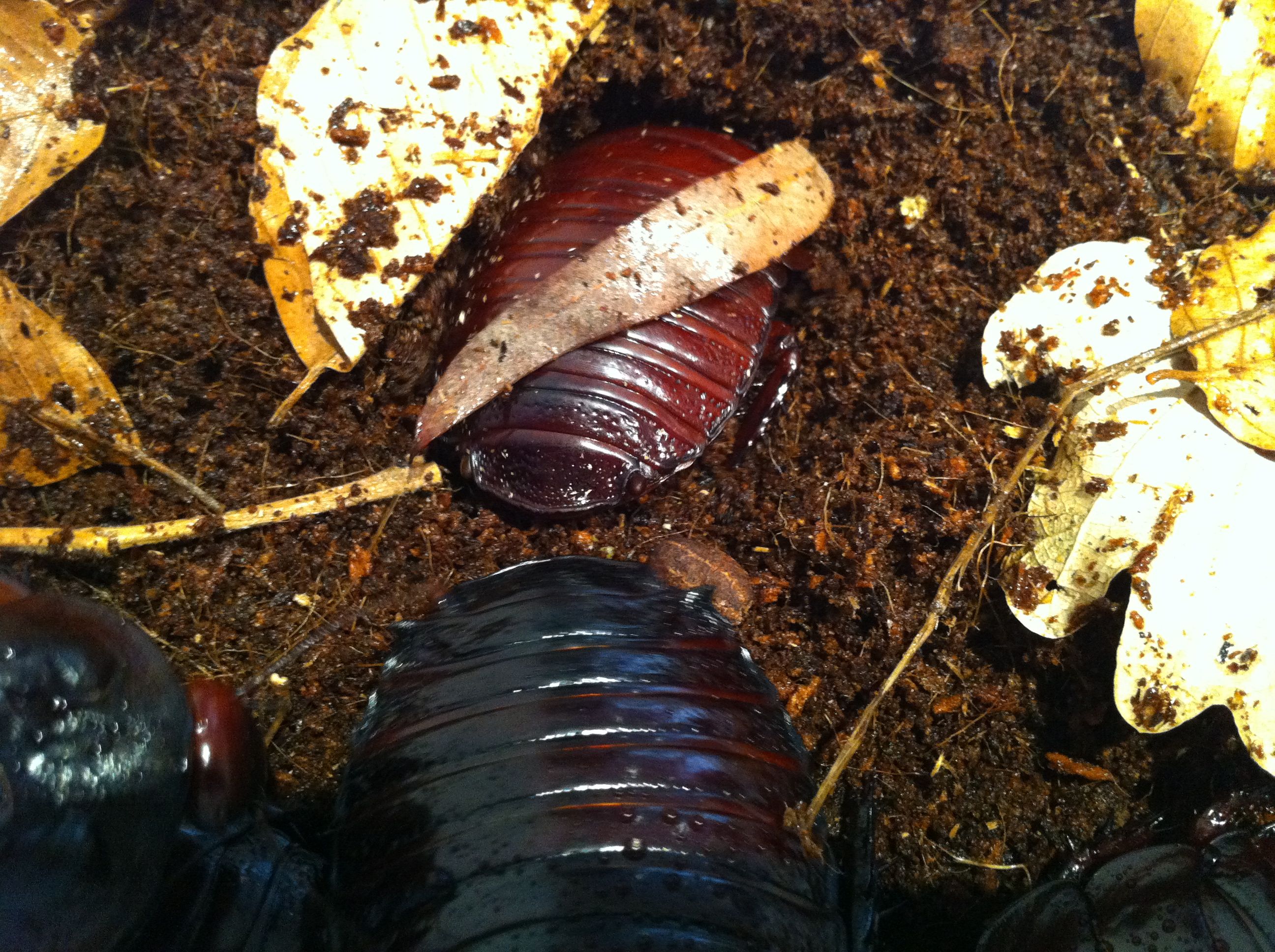 Foto 08-05-12 13 34 31.jpg