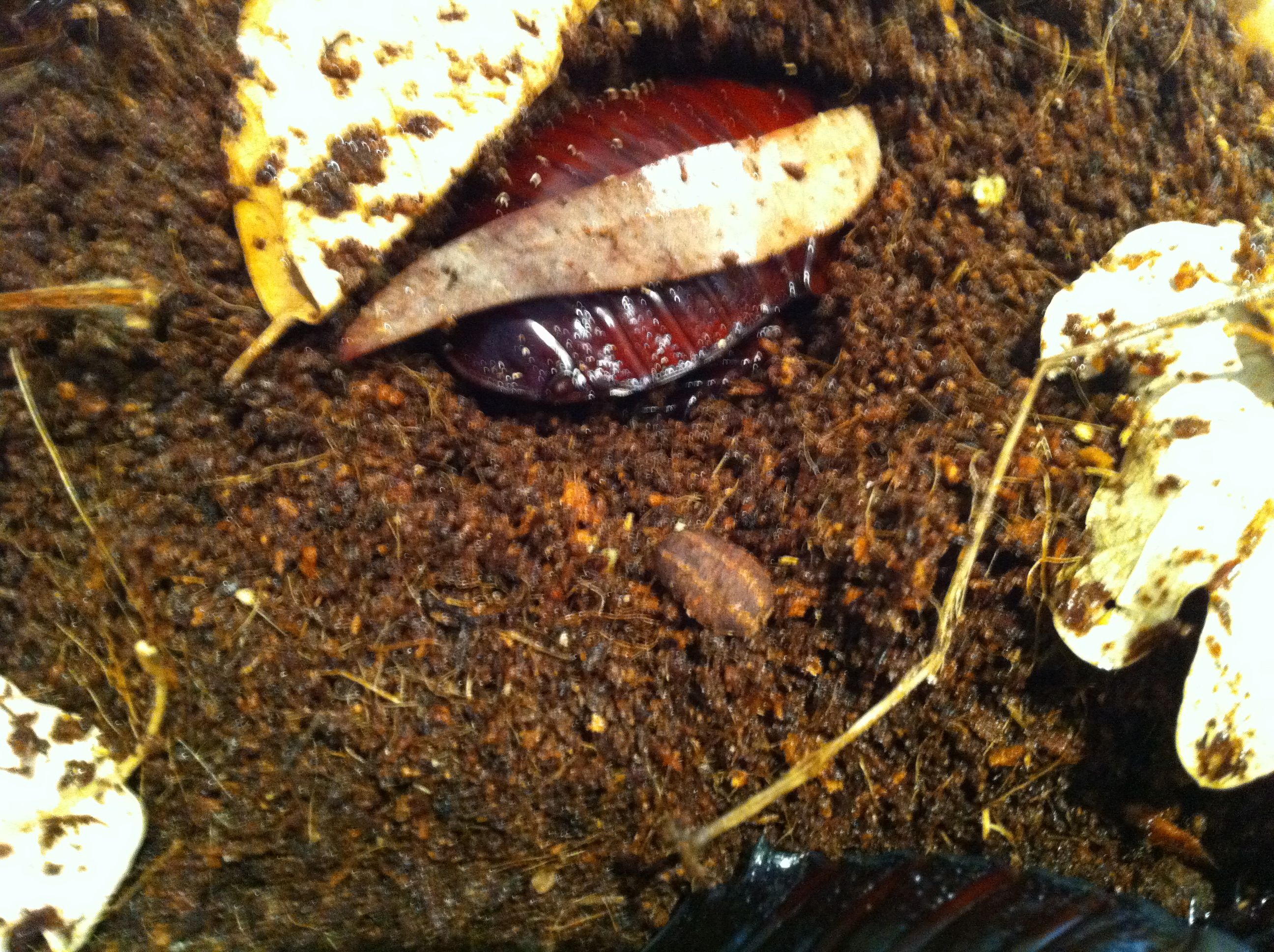 Foto 08-05-12 13 34 37.jpg