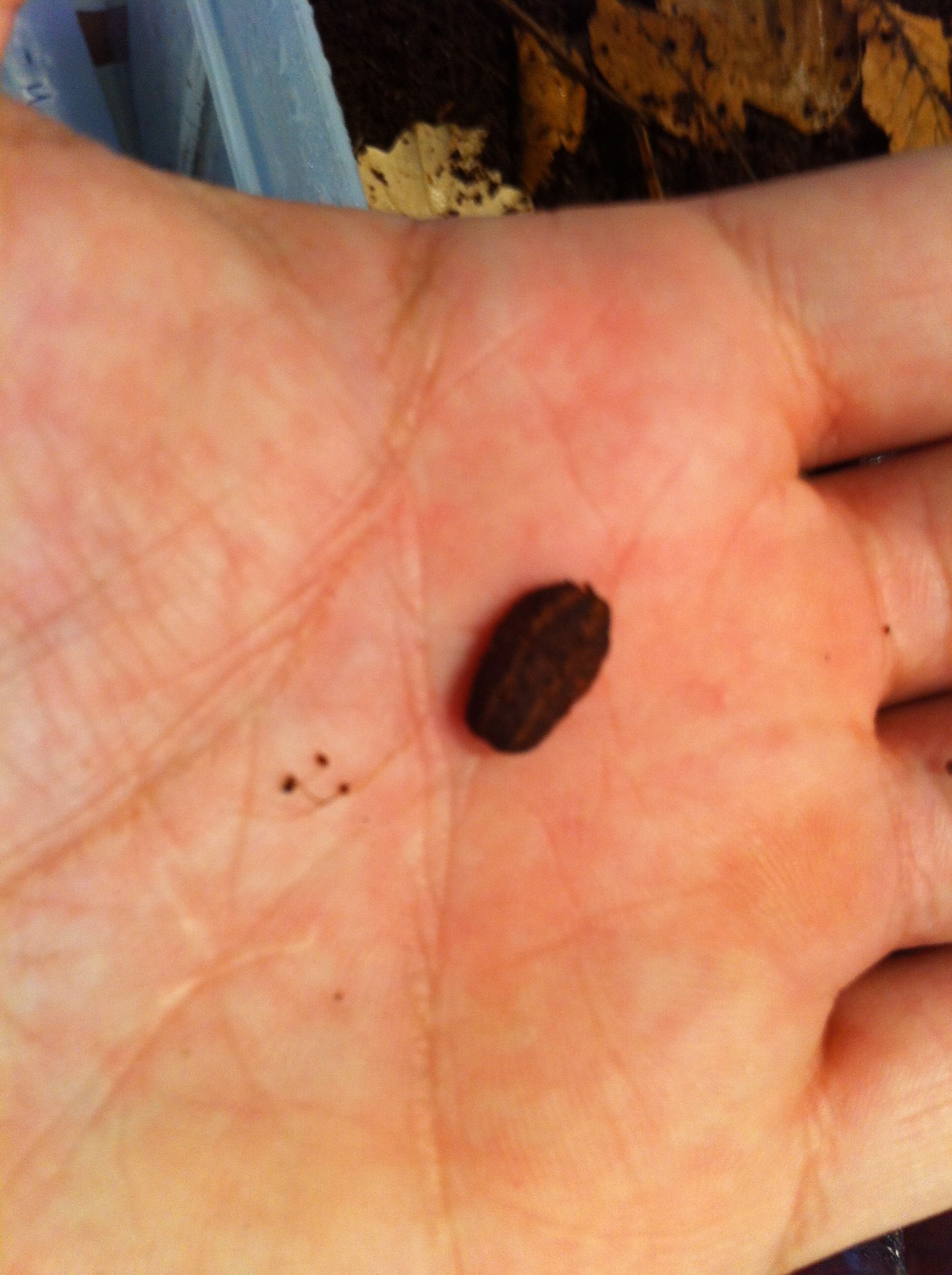 Foto 08-05-12 13 34 55.jpg