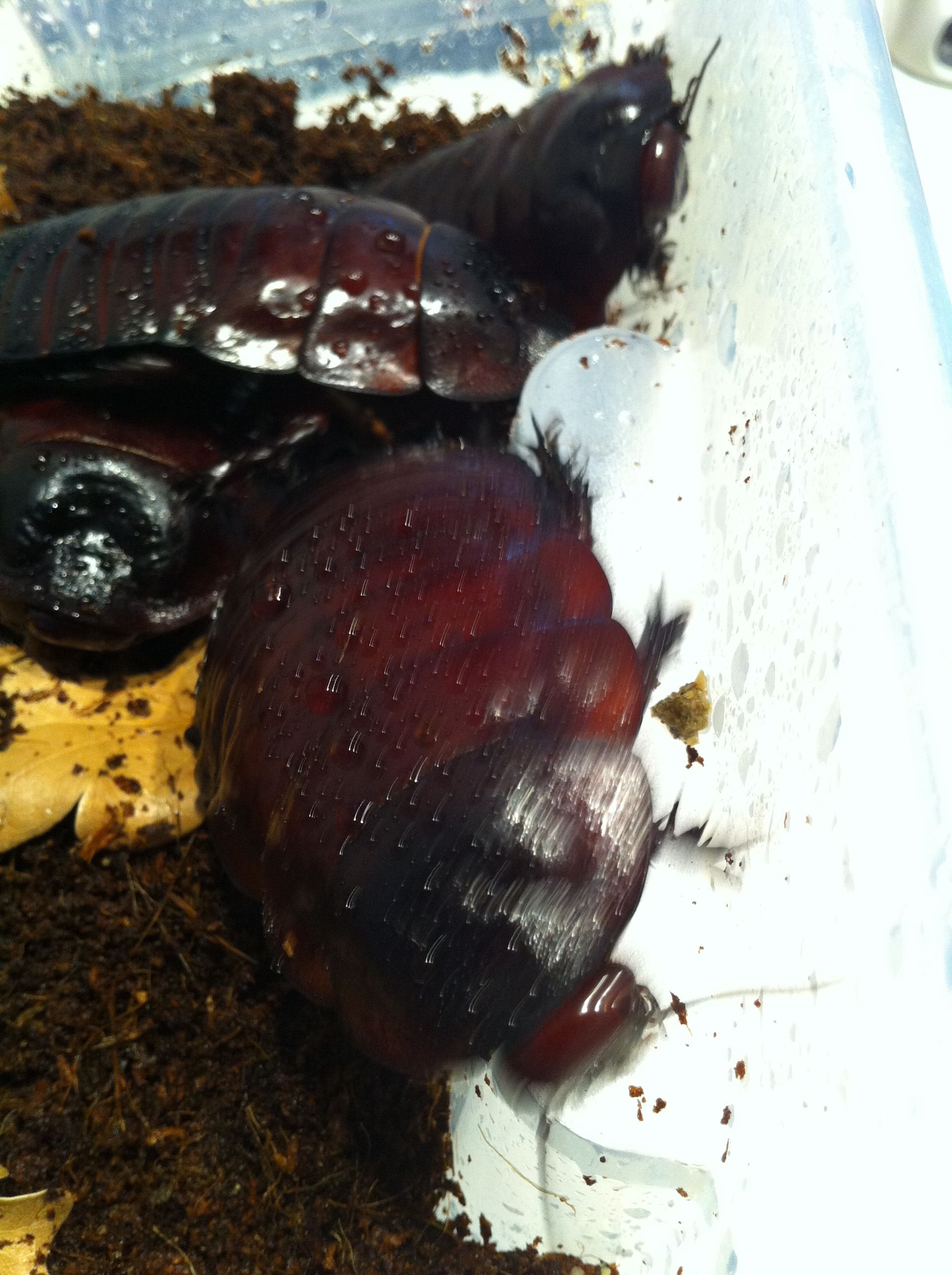 Foto 08-05-12 13 41 32.jpg