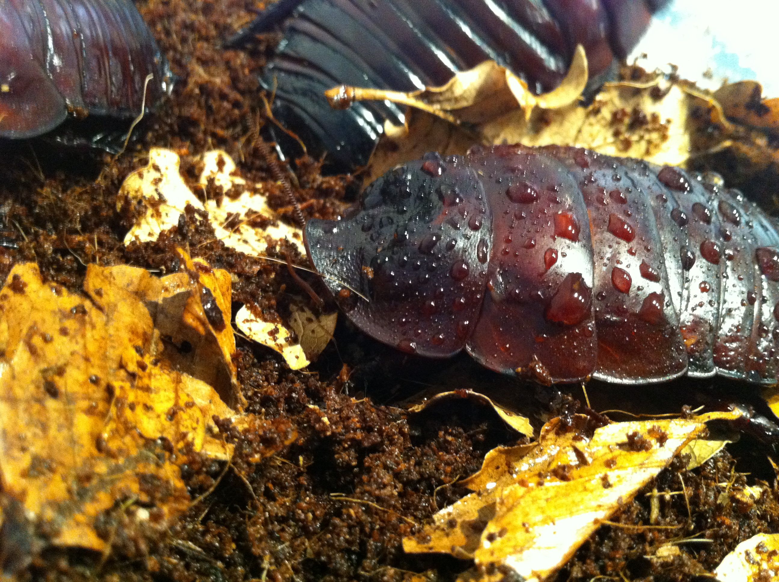 Foto 08-05-12 13 43 07.jpg