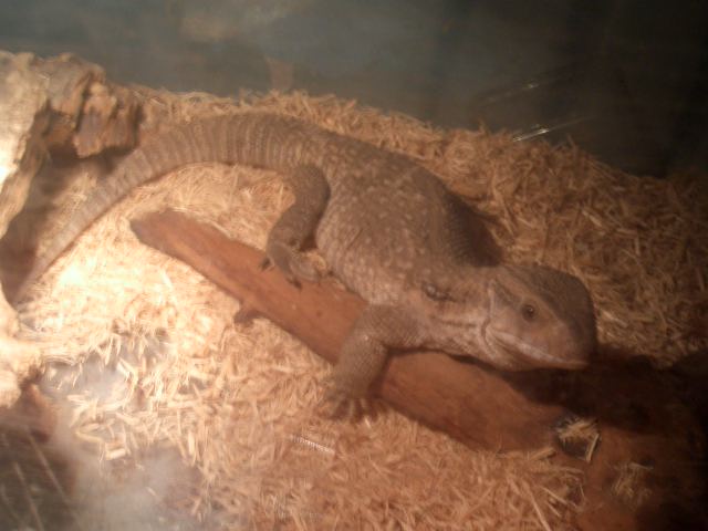 FOTO DE LA MERY 031.JPG