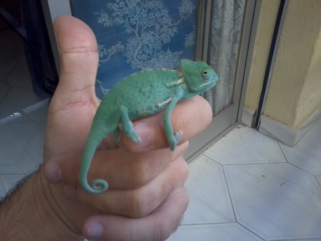 Foto1006 [640x480].jpg