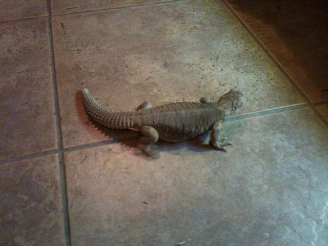 foto52573572 (Small).jpg