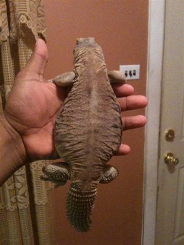 foto87382587 (Small).jpg