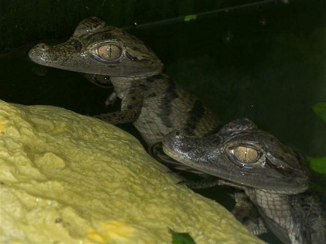 fotos abril2 007 (Small).jpg