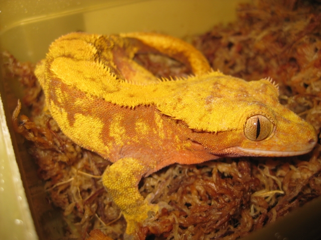 fotos adela 049 (640x480).jpg