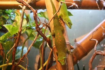 fotos animales 116 min.jpg