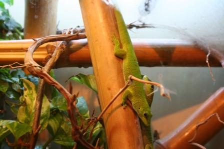 fotos animales 120 min.jpg