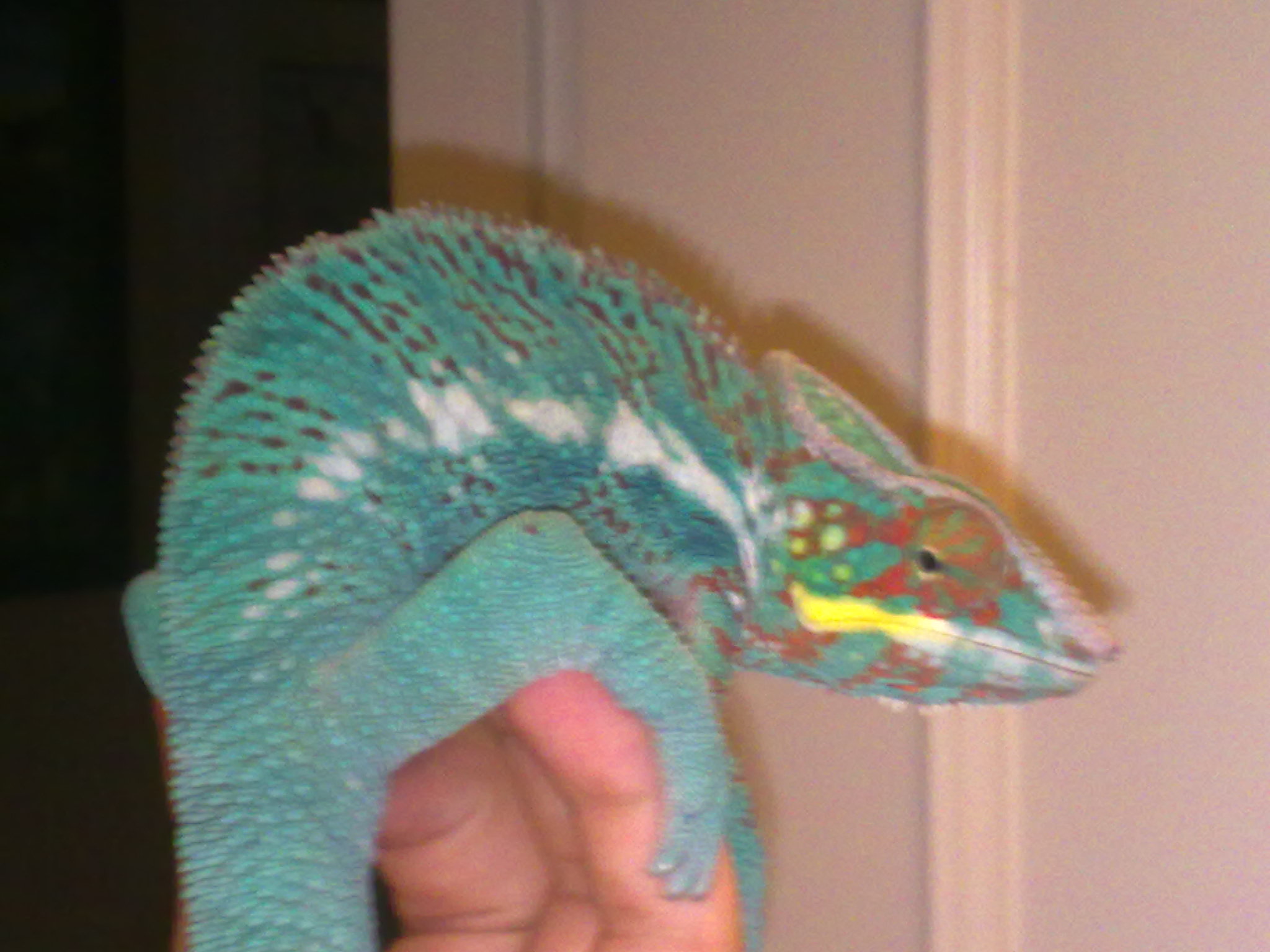 gen noviembre 09.jpg