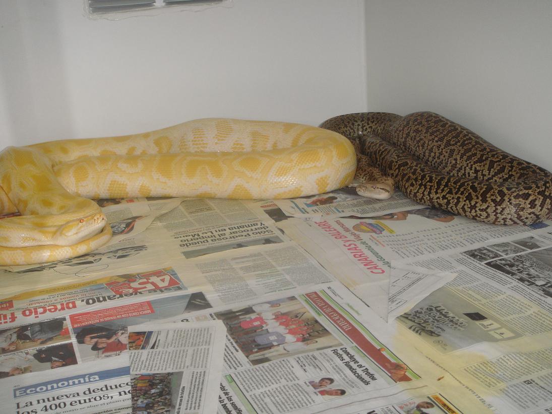 granito  albina pq.JPG