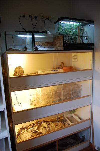 habitacion5.JPG