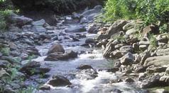 Habitat de las Andrias1.JPG