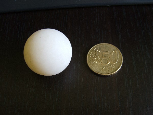 Huevo de Trionyx ferox.jpg