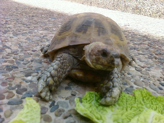 Identicadme porfavor