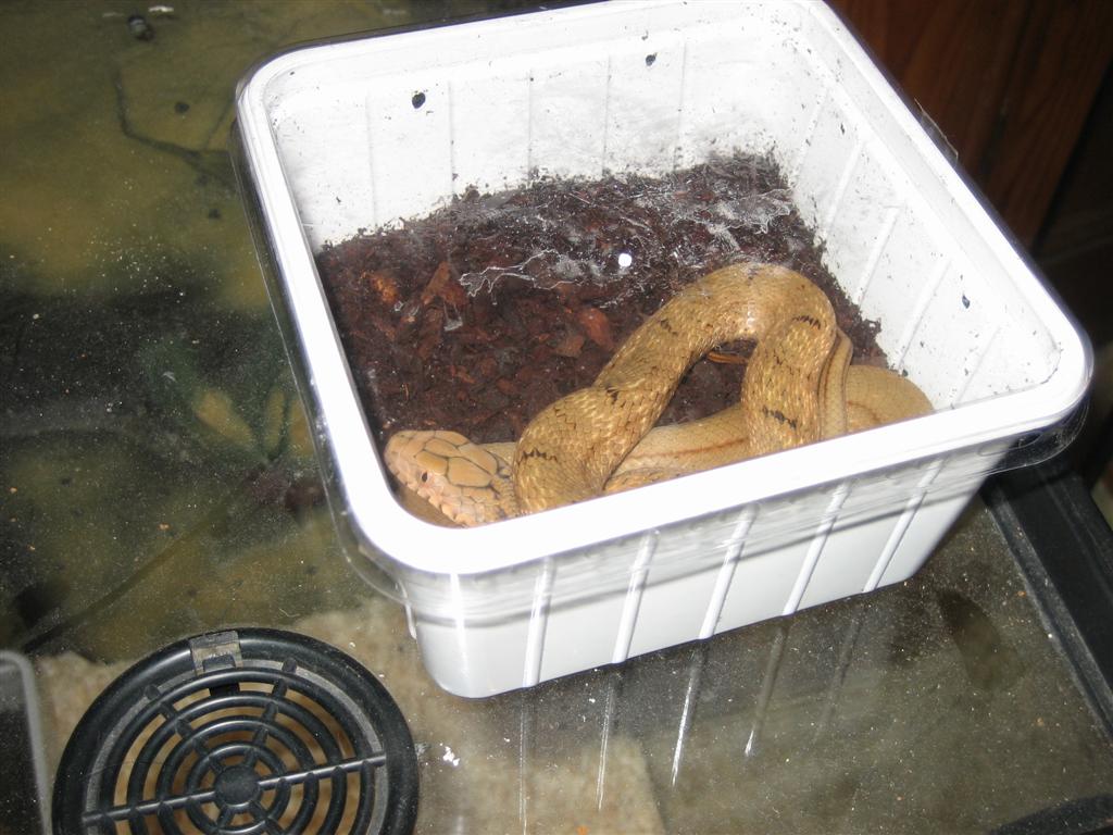 Imagen 001 (Large).jpg