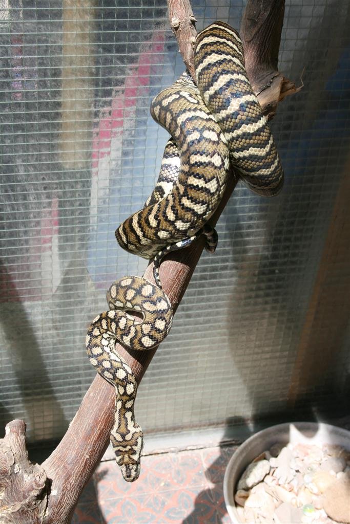 Imagen 007 (Large).jpg