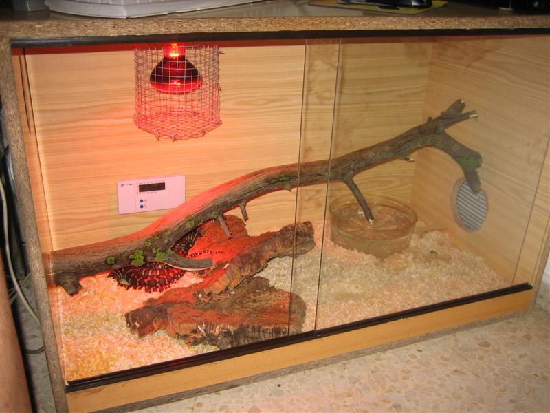 Imagen 007 (Medium).jpg