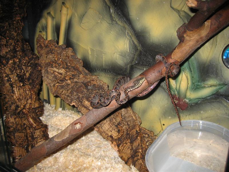 Imagen 017 (Medium).jpg