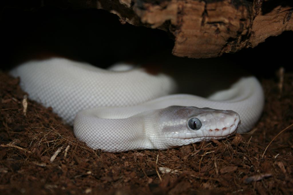 Imagen 025 (Large).jpg