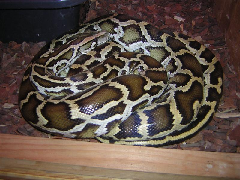 Imagen 047 (Medium).JPG