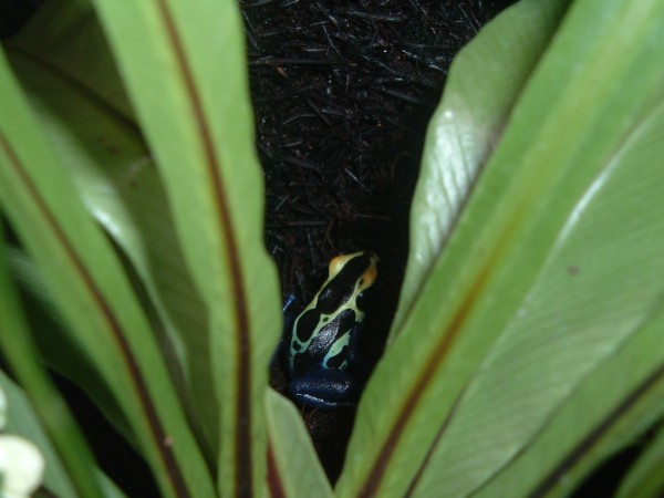 Imagen 094 (600 x 450).jpg