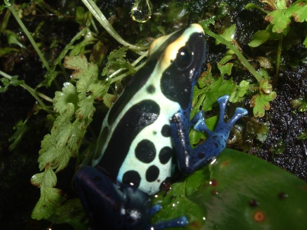 Imagen 115 (600 x 450).jpg