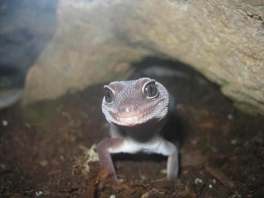 imagen 21-08-05 001.jpg