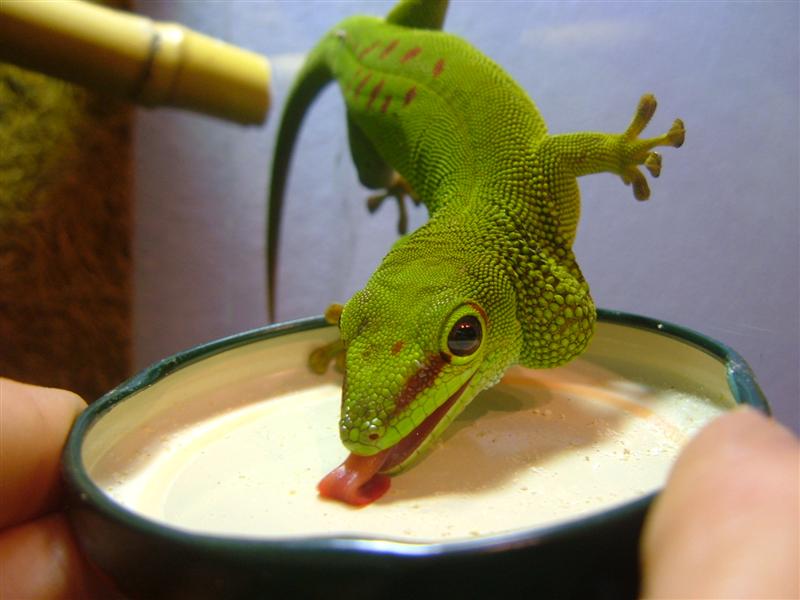 Imagen 249 (Medium).jpg