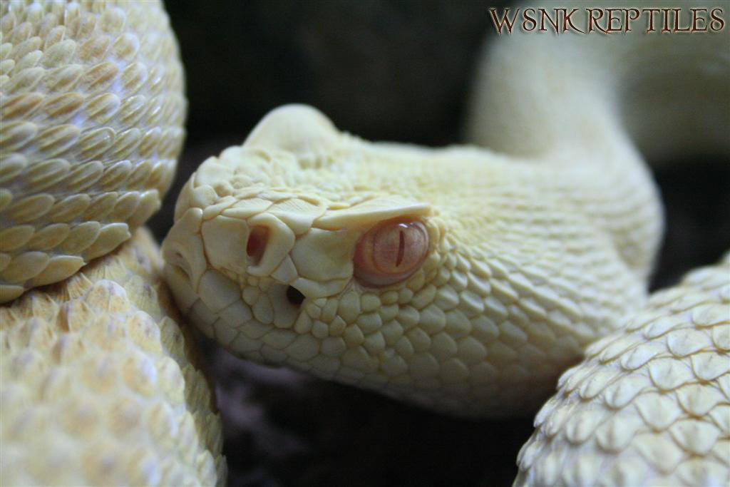 Imagen 424 (Large) copy1.jpg