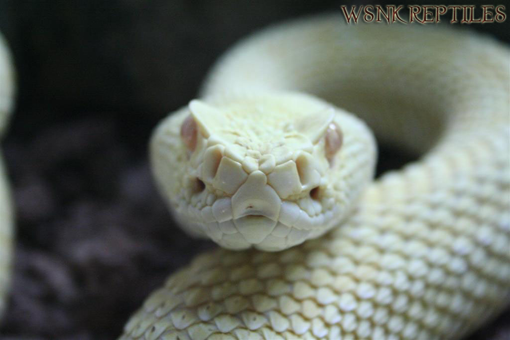 Imagen 430 (Large) copy1.jpg