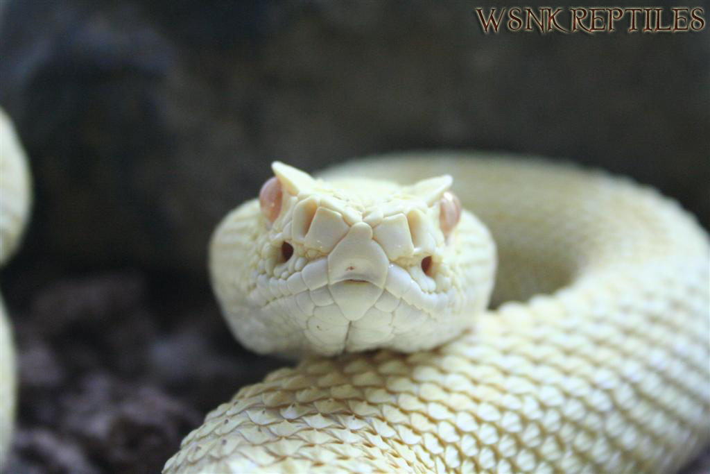 Imagen 432 (Large) copy1.jpg