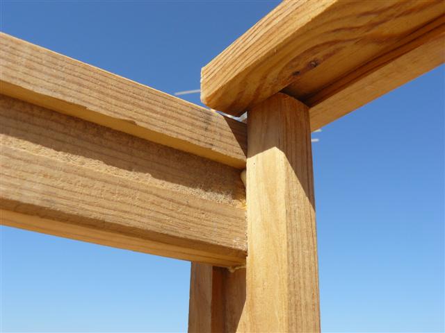 Imagen 454 (Small).jpg