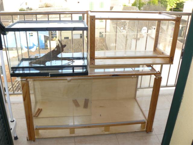 Imagen 463 (Small).jpg