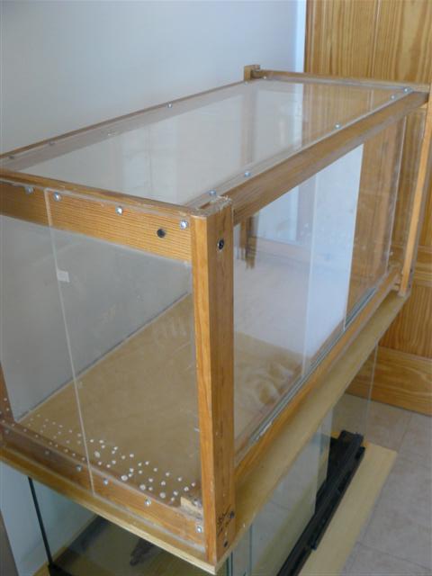 Imagen 469 (Small).jpg