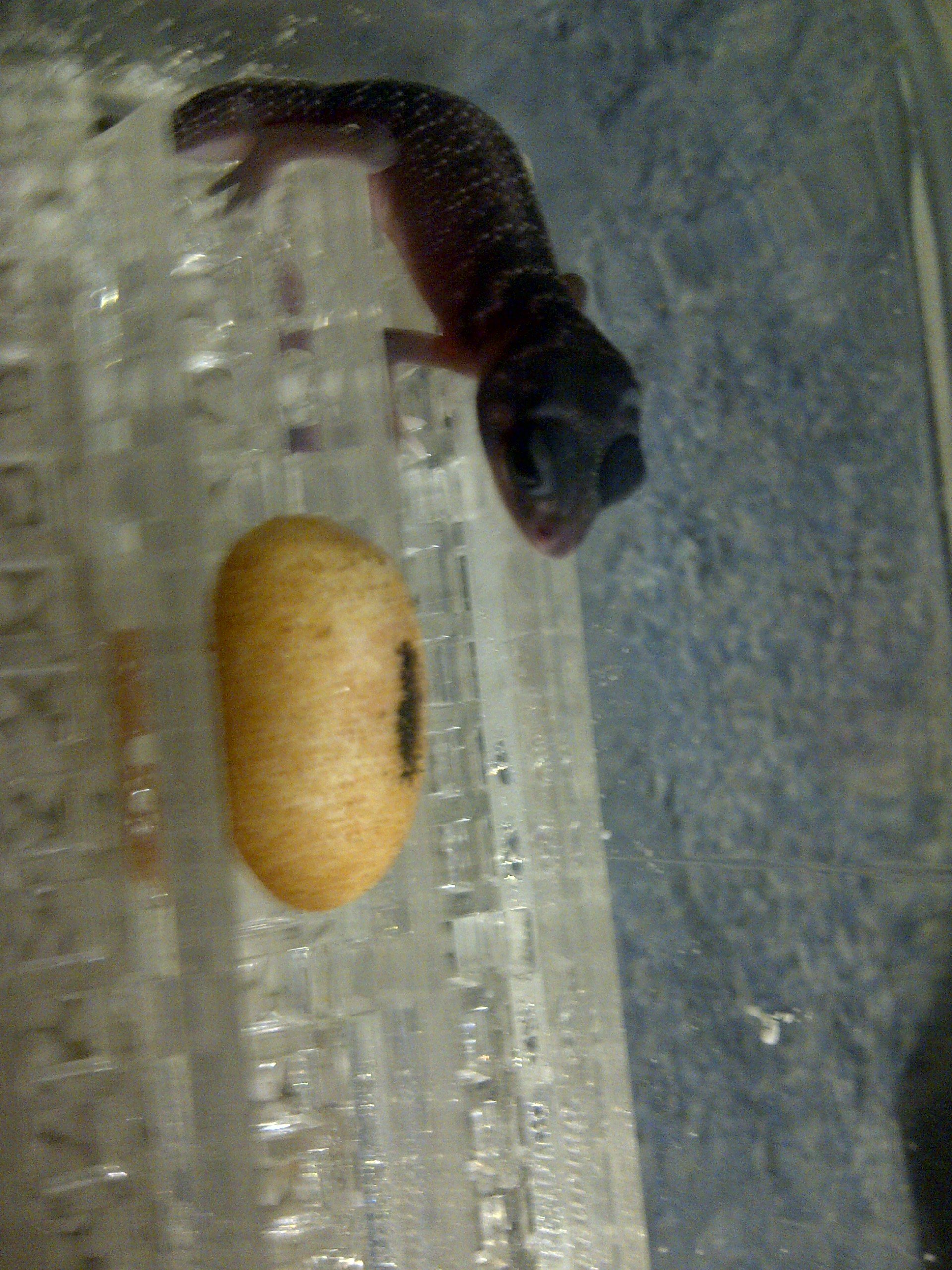 IMG-20120725-00210 (2).jpg