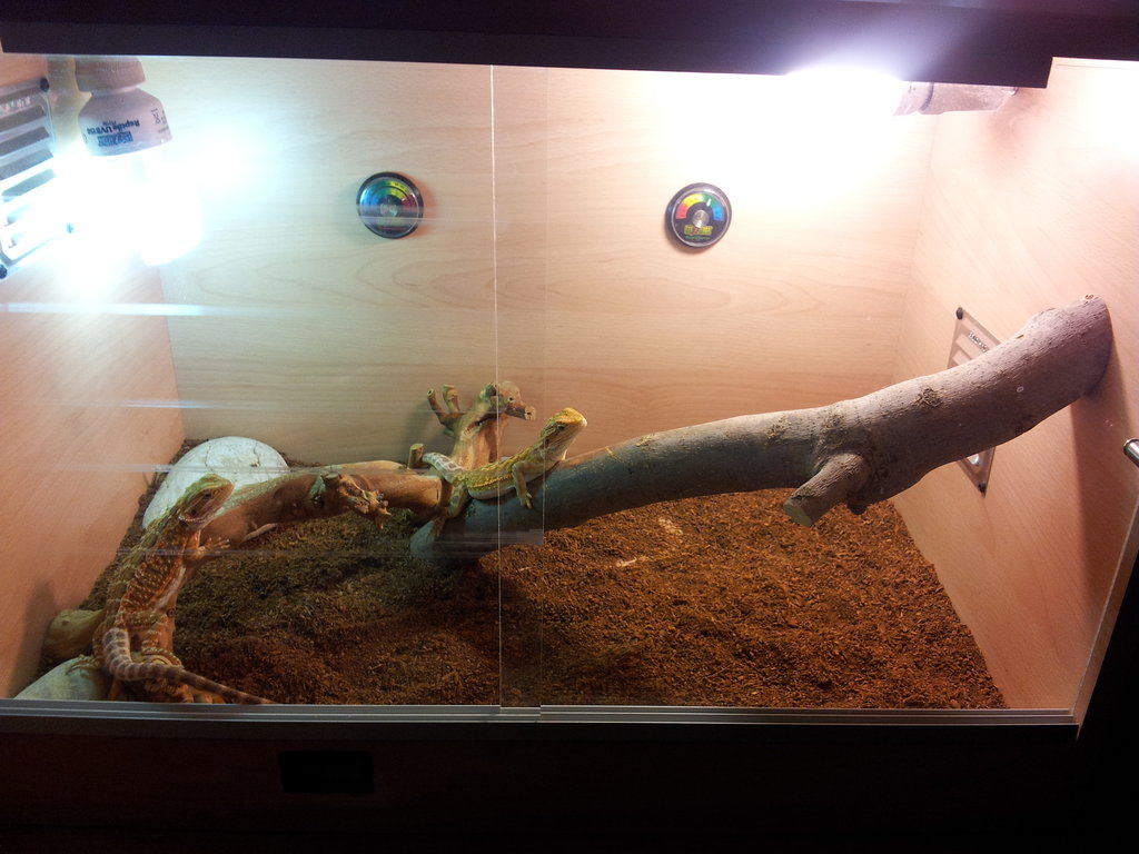 IMG 20130907 121026(1)