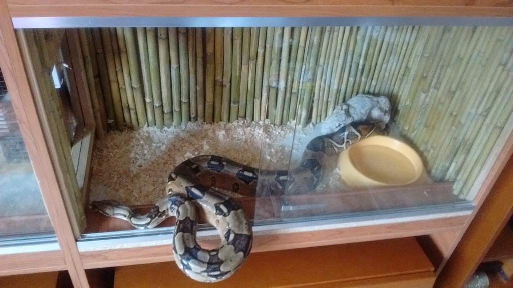 IMG 20150412 110551583