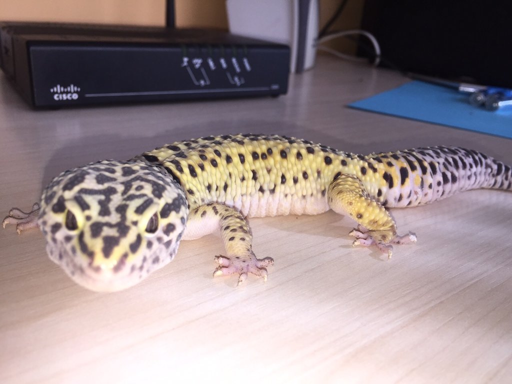 IMG 20150506 WA0039 (1)